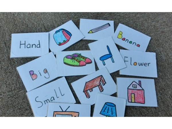 小學(xué)科學(xué)科目中，記錄科學(xué)實驗有哪些方法？